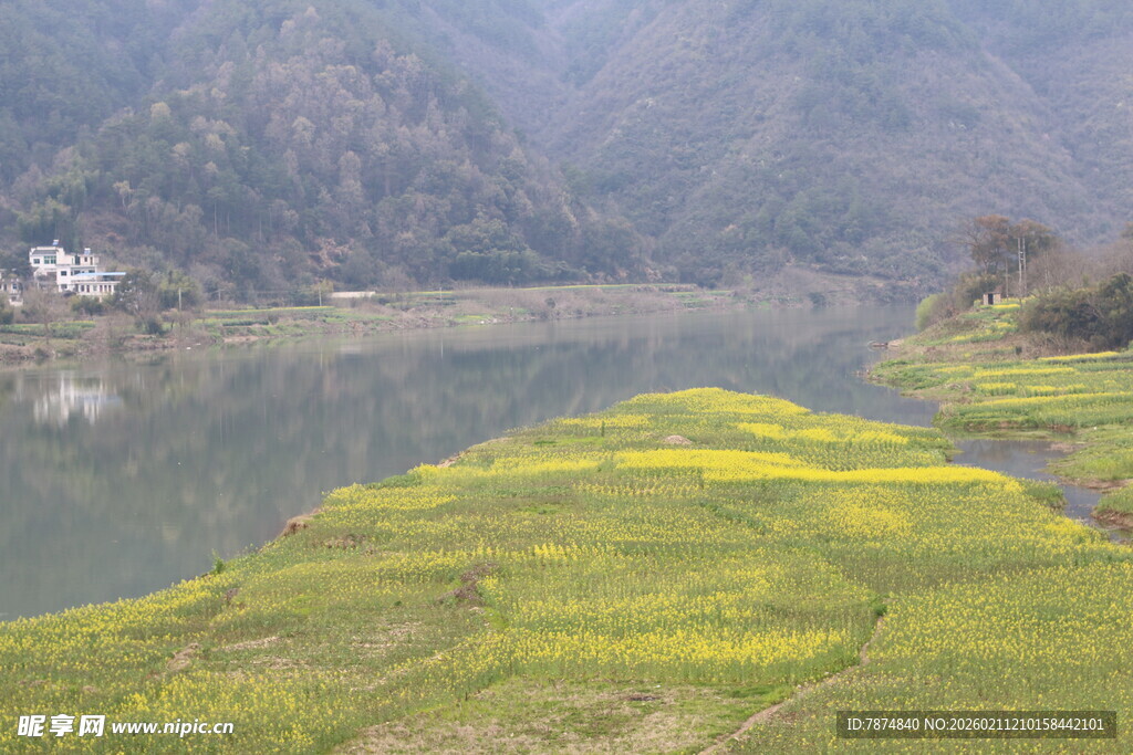 河畔油菜花田与山水风光