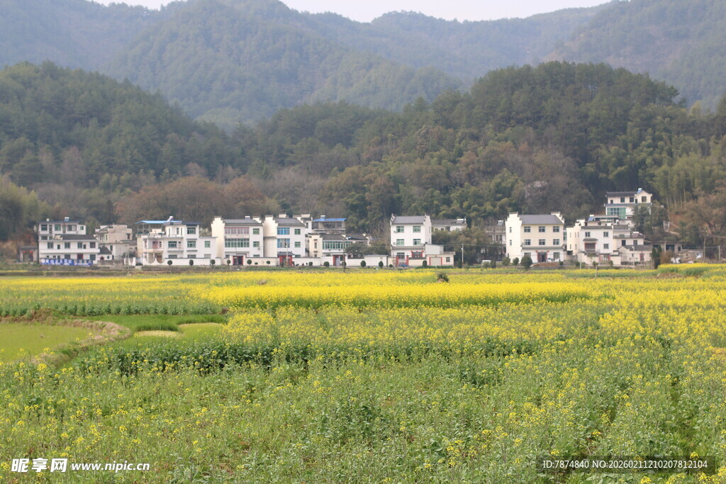田园山村美景
