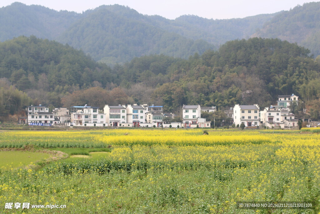 田园山村美景