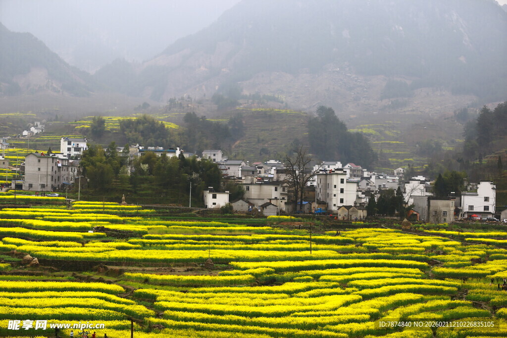 山间油菜田与村落美景