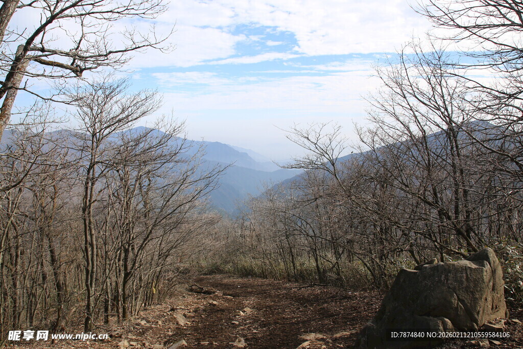 山间小道 冬日萧瑟景致