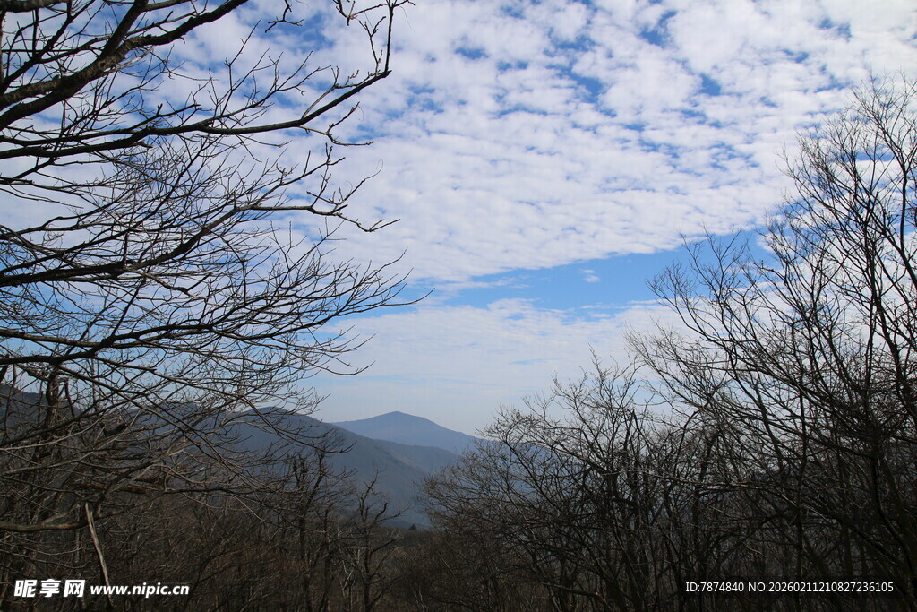 冬日山林远景