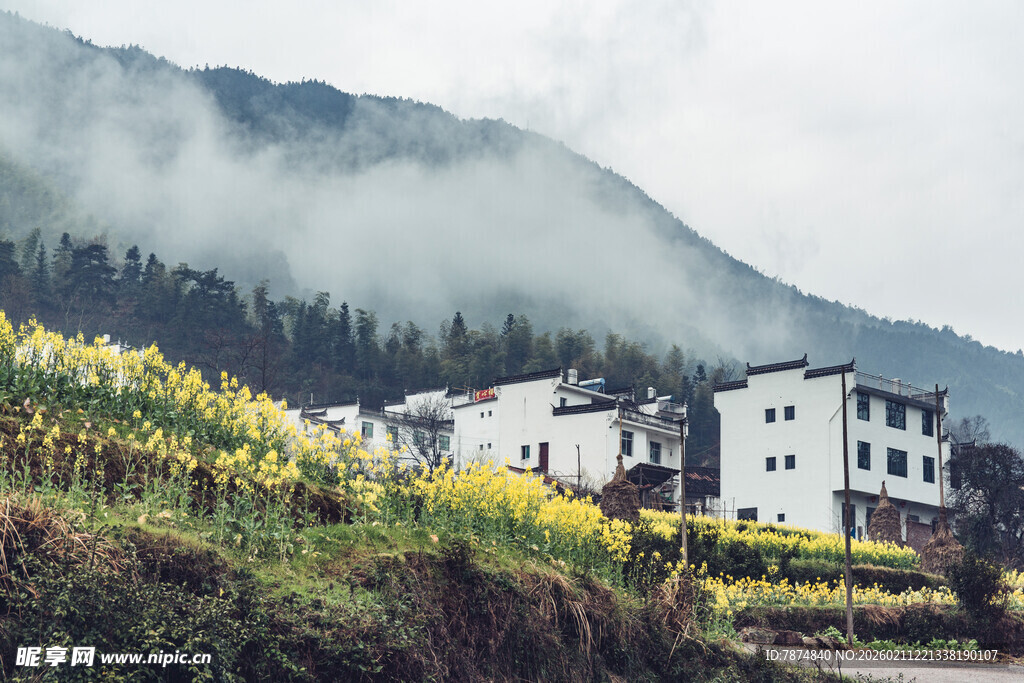 婺源山间村落 田园诗意美景