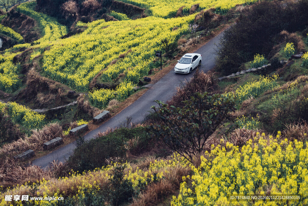 婺源山间公路上行驶的白色汽车