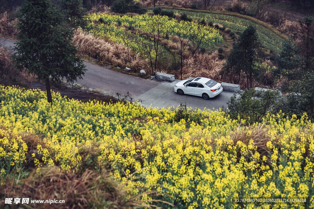 婺源山间公路上的白色汽车