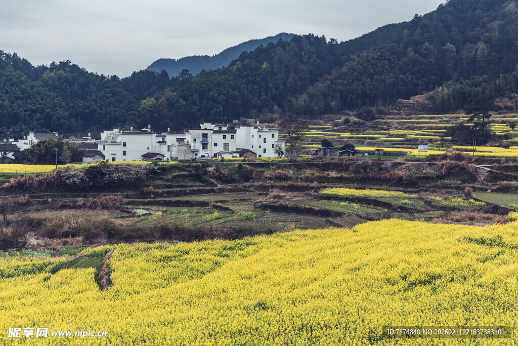 春日田野中的乡村美景