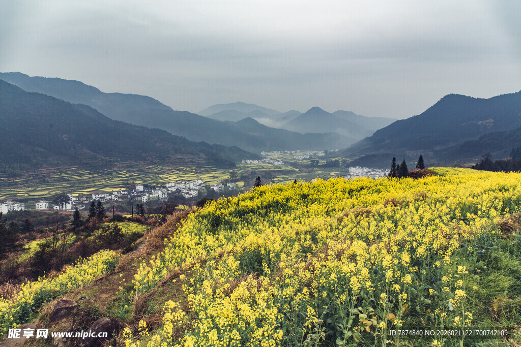 婺源山间油菜花海田园美景