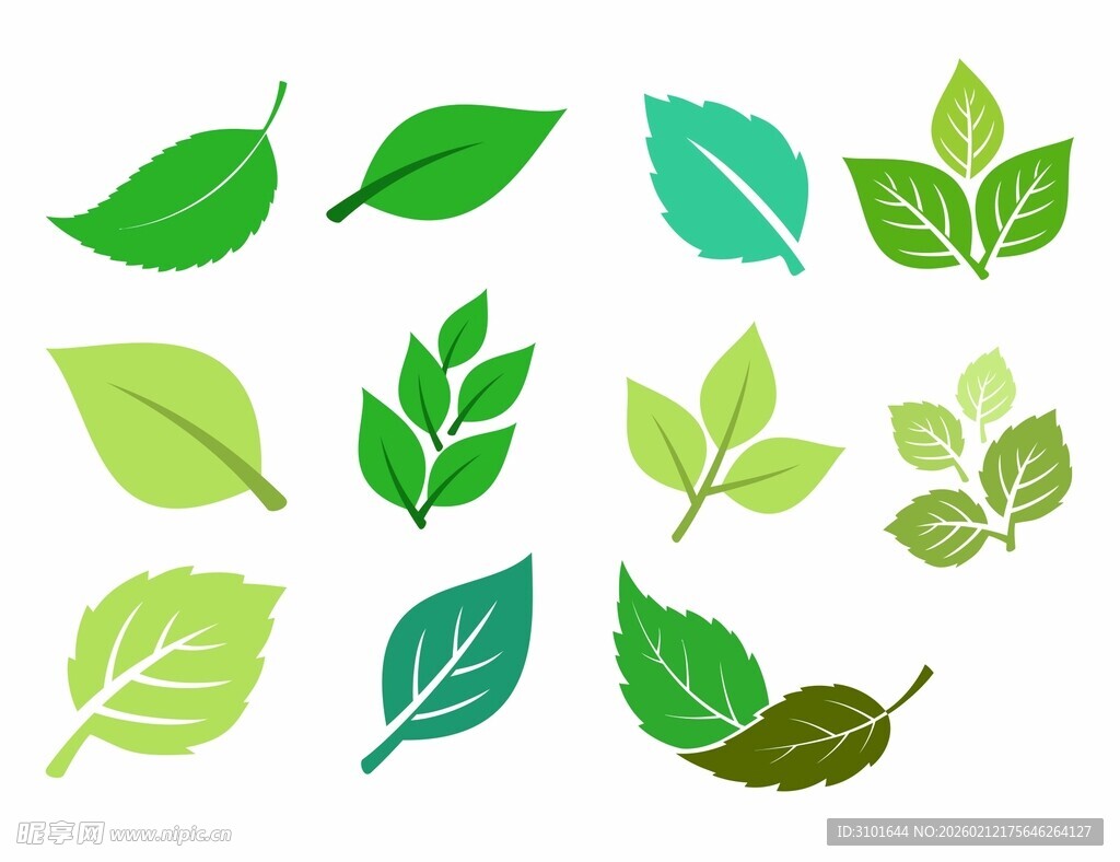绿色叶子素材