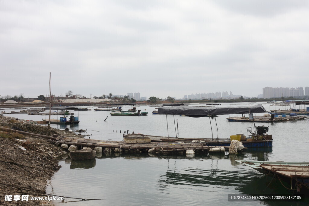 湛江江边码头船只停泊景象