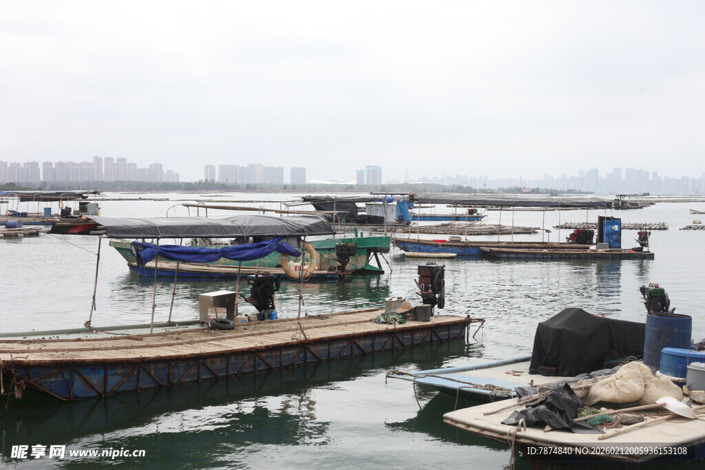 湛江港口停泊的多艘船只