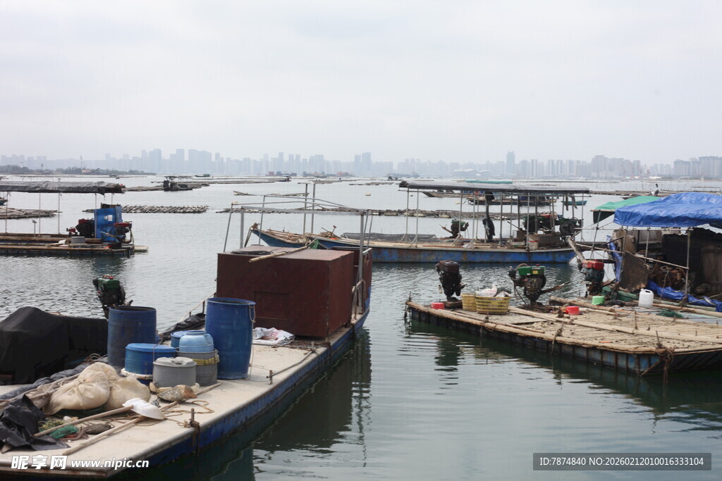 湛江港口停泊的船只景象