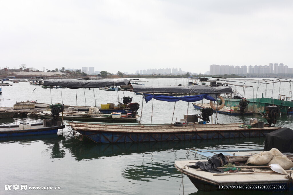 湛江宁静港湾中的停泊船只