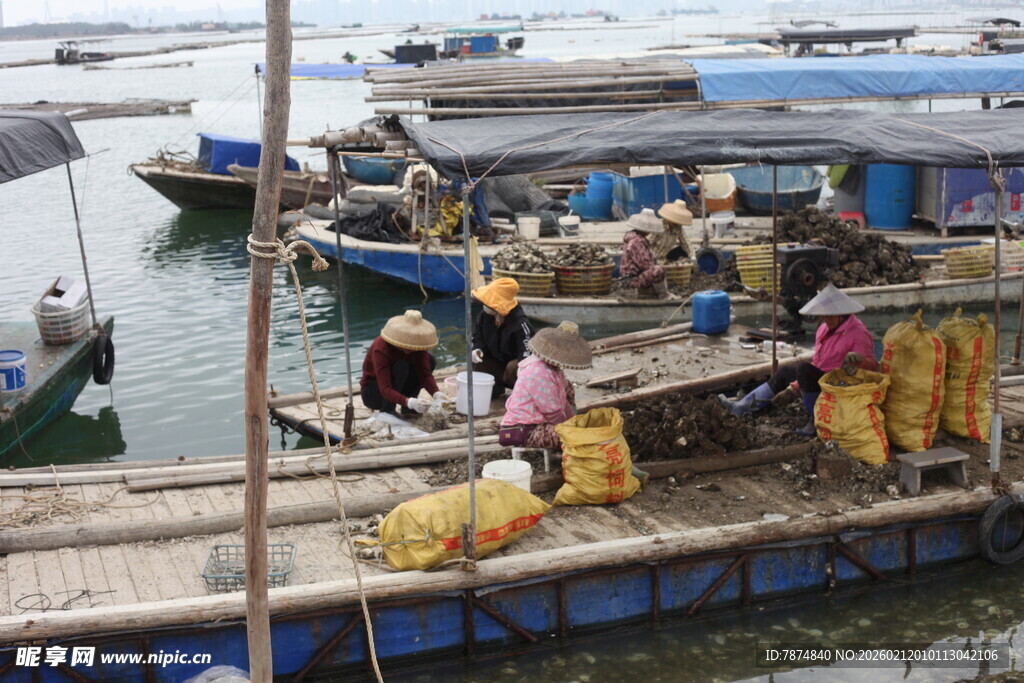 湛江海上渔村的热闹交易场景