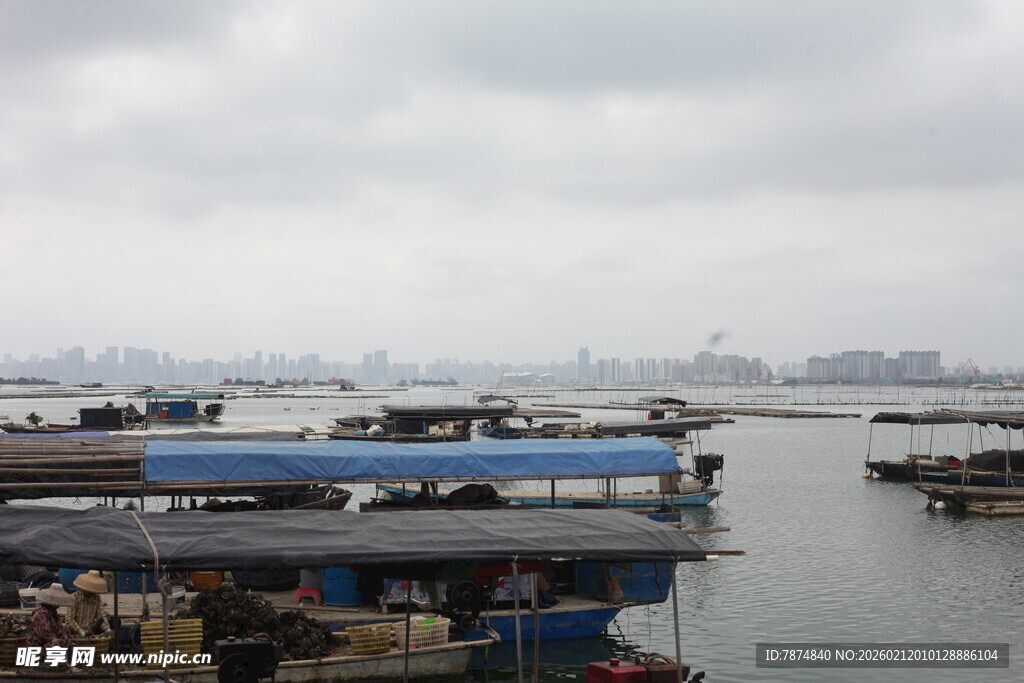 湛江江边停泊的船只景观