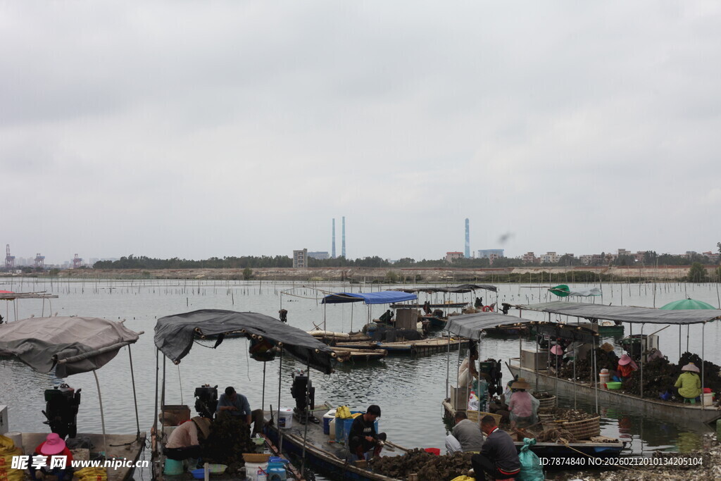 湛江河边热闹的乘船场景