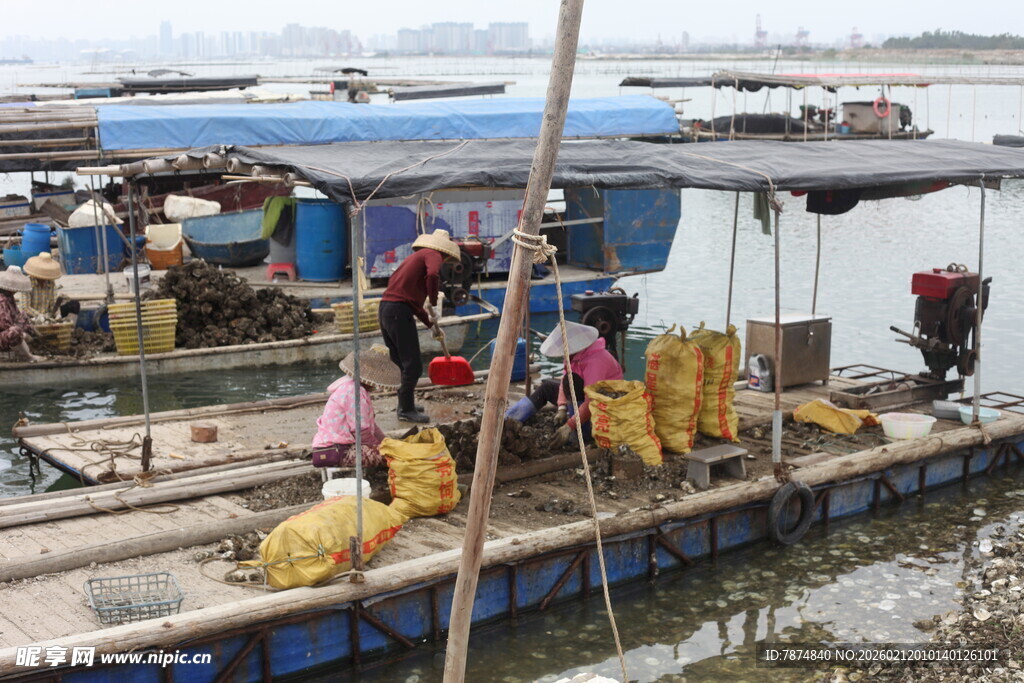 湛江水上渔村繁忙的生活场景