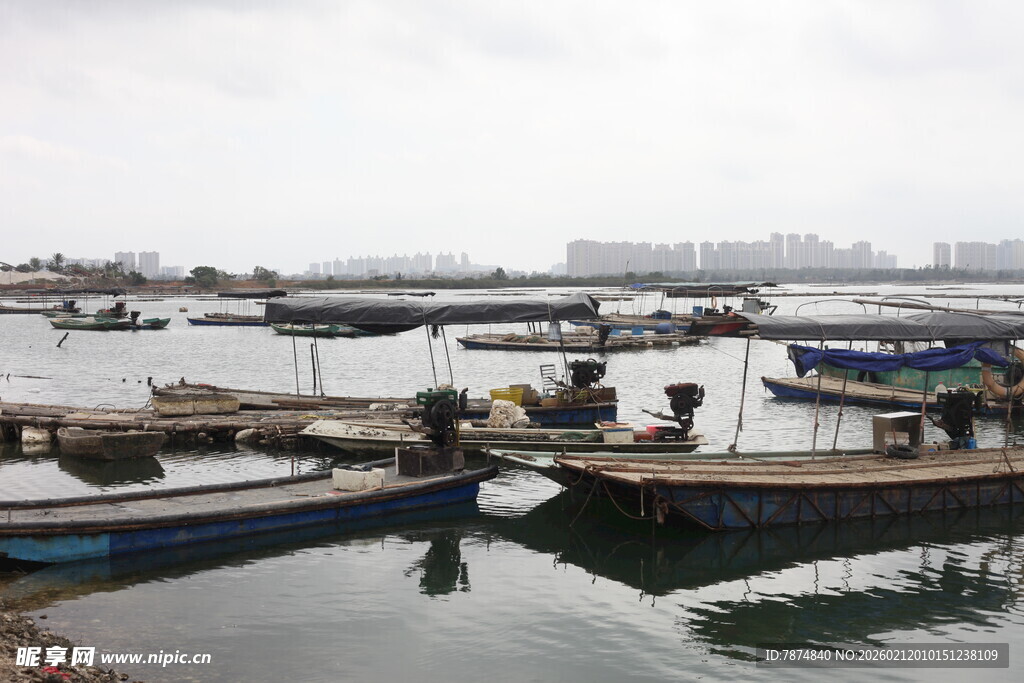 湛江宁静海港的船只停泊景象