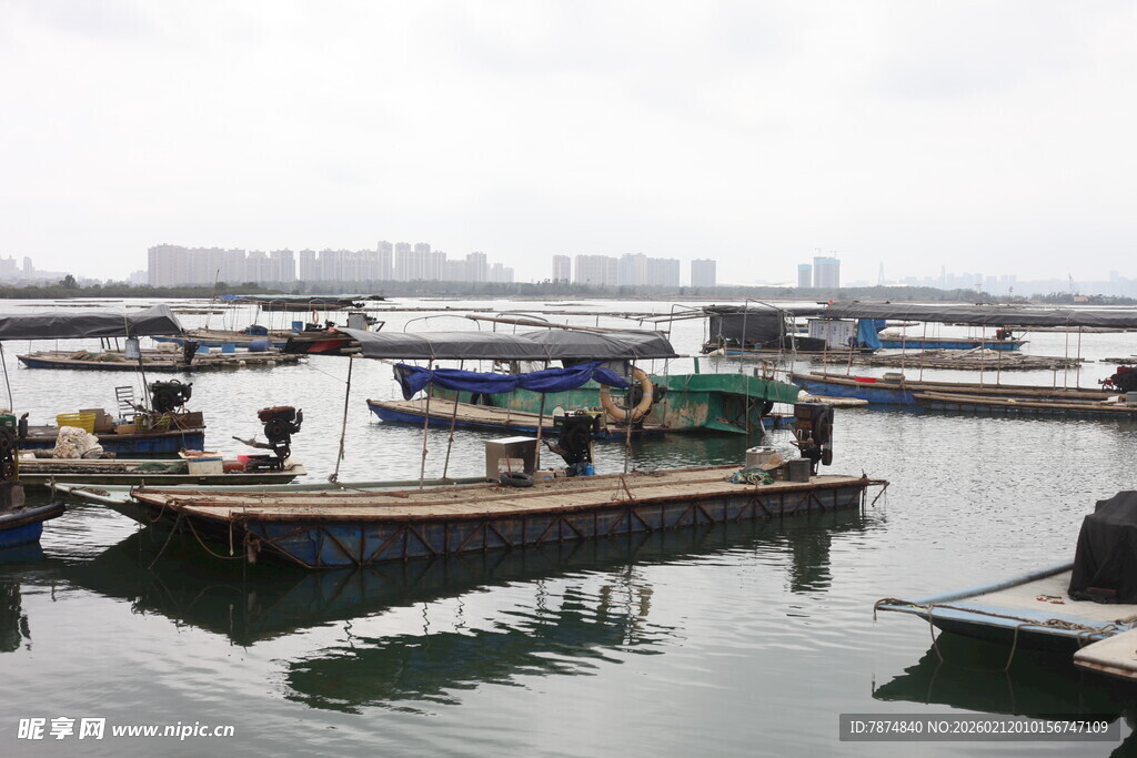 湛江港口停泊的多艘船只