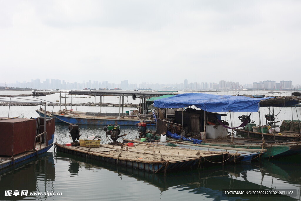 湛江码头停靠船只与热闹场景