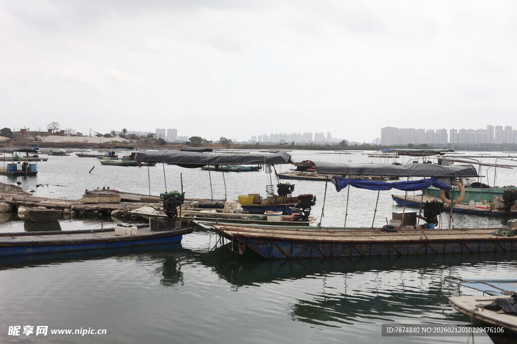 湛江宁静港湾中的停泊船只