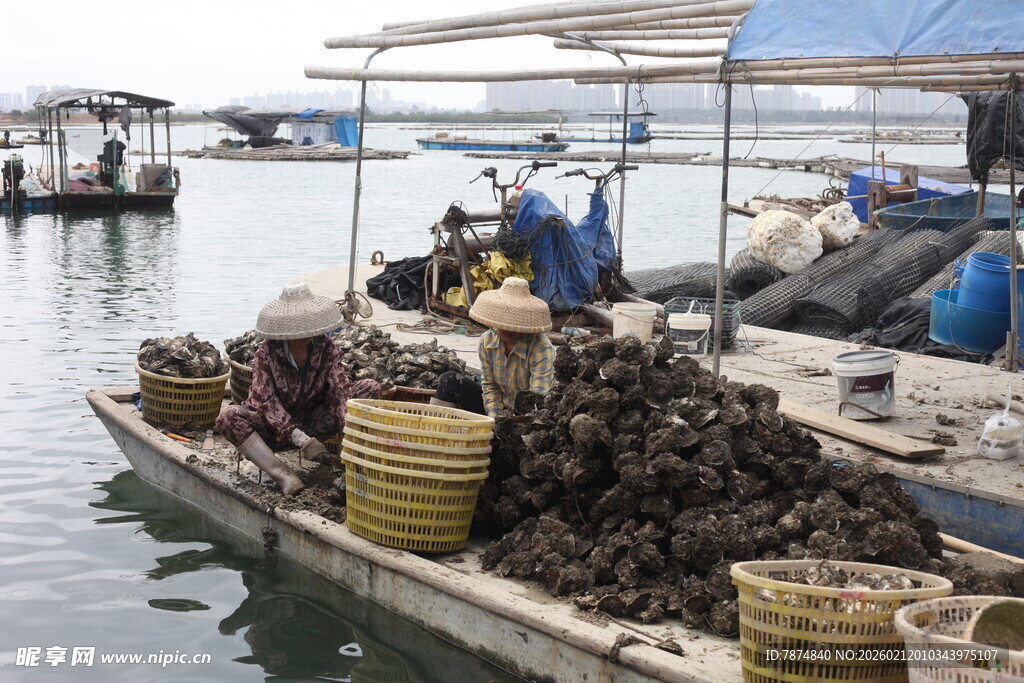 湛江码头渔船旁的海鲜货物