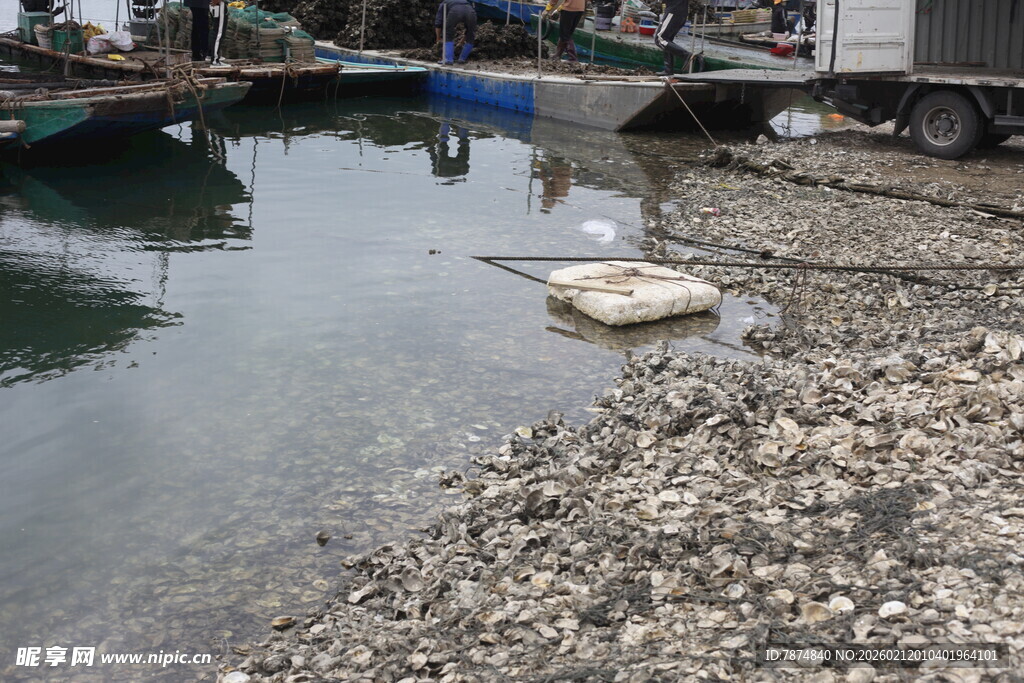 湛江岸边停泊船只的水域景象