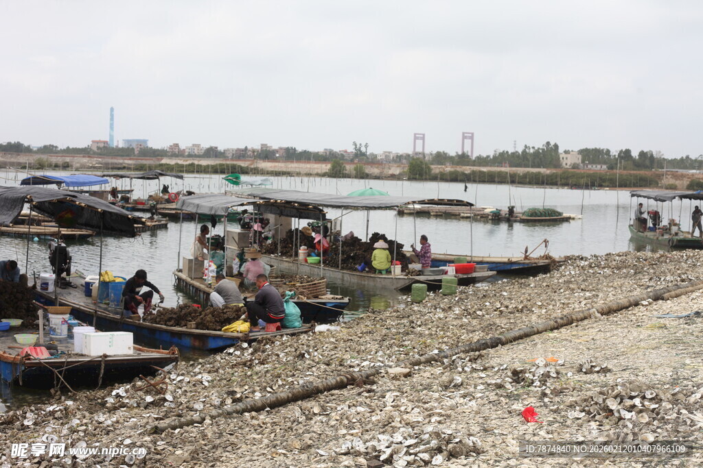 湛江河边停泊的船只与人群