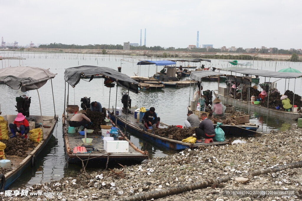 湛江河边热闹的水上交易场景