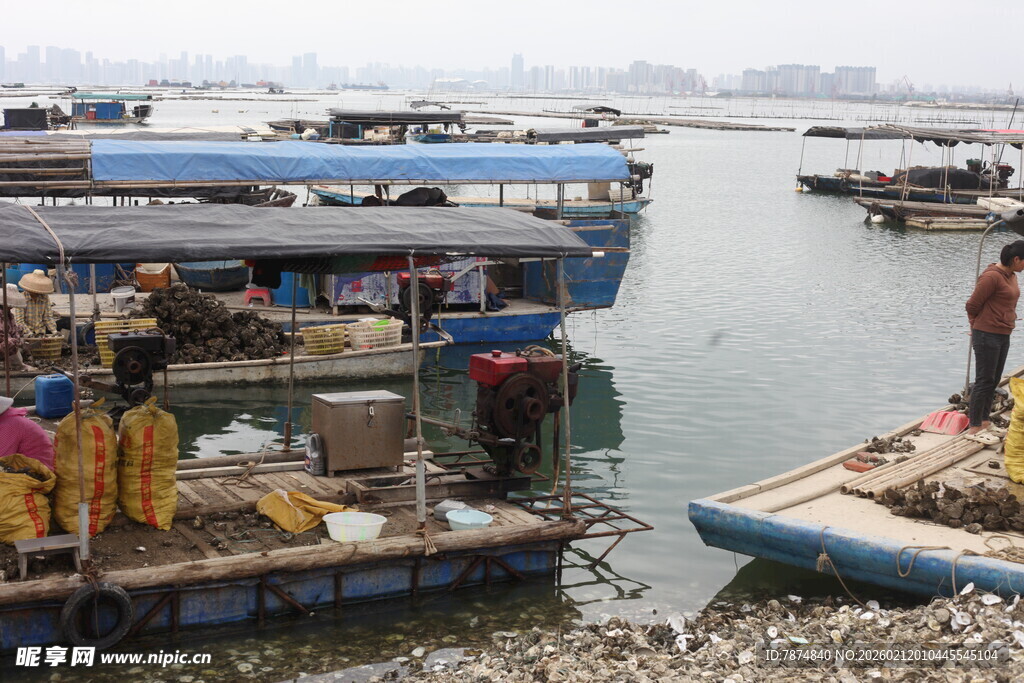 湛江水上停泊的特色船只场景