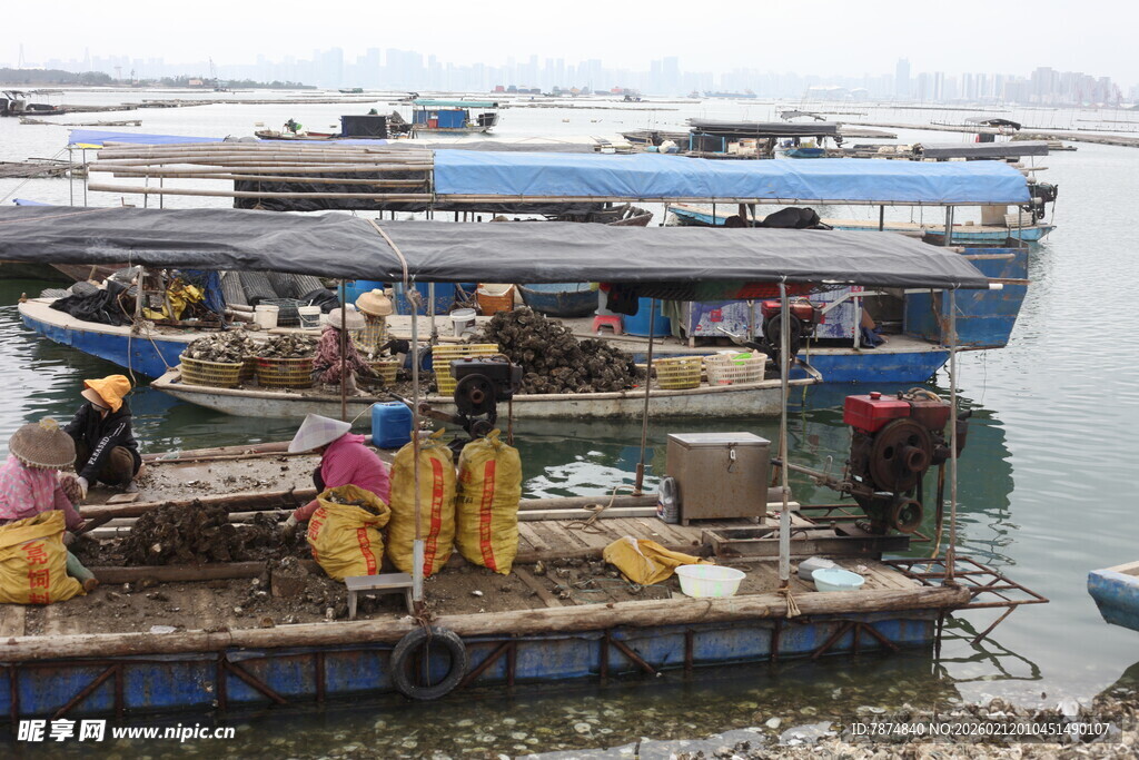 湛江渔民码头忙碌场景