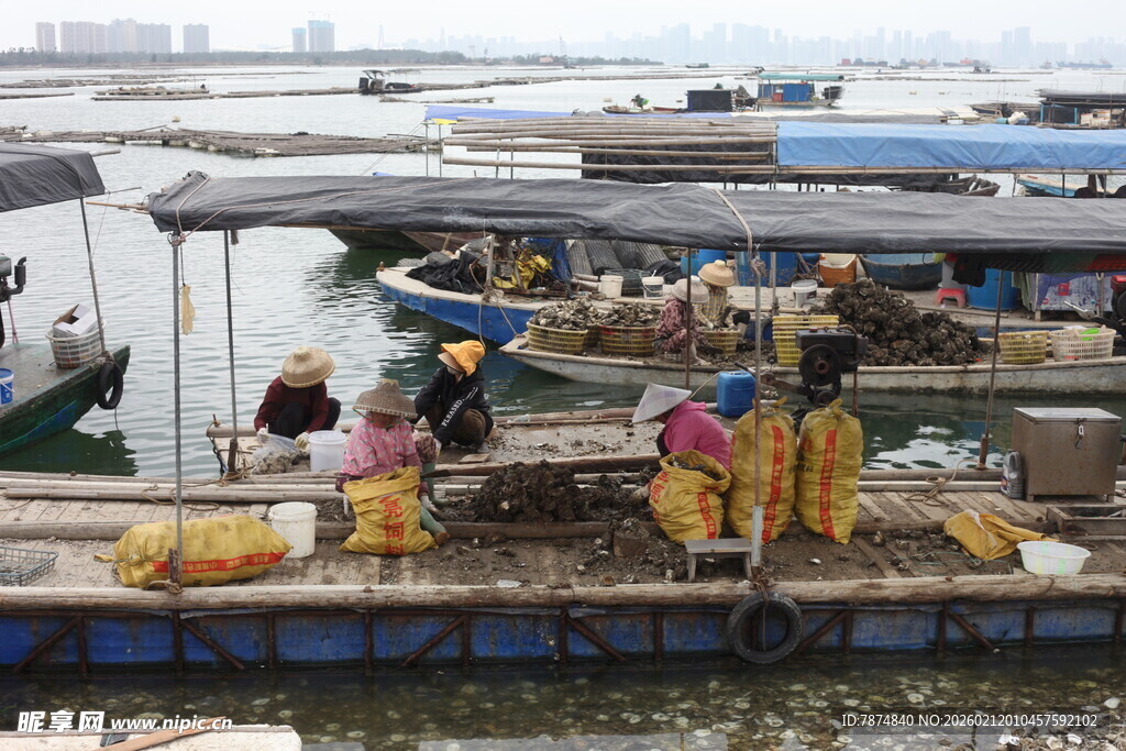 湛江码头渔民忙碌的交易场景