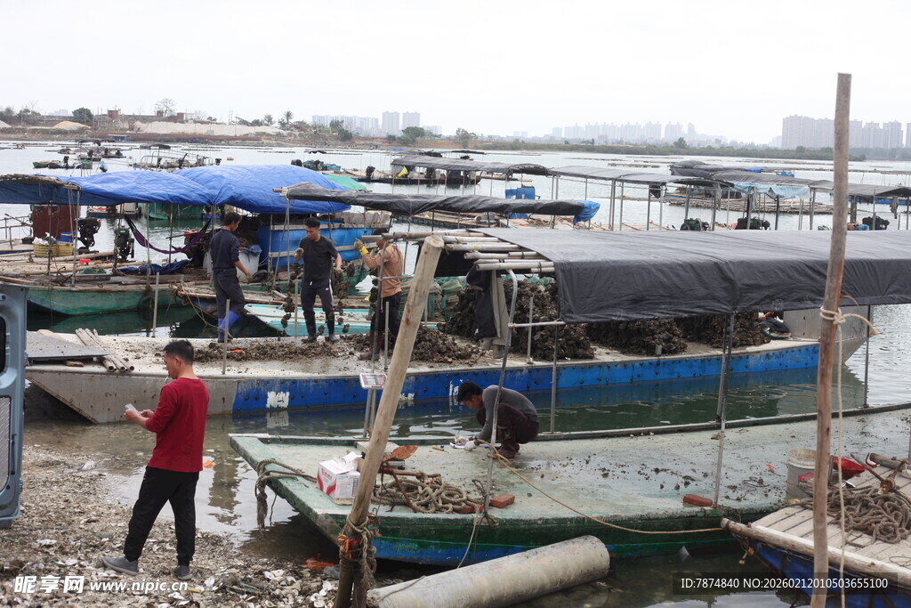 湛江渔村码头的日常景象