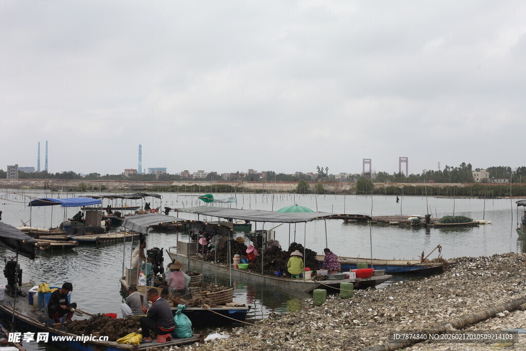 湛江河边热闹的水上交易场景