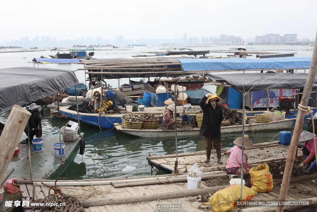 湛江热闹渔港的繁忙交易场景
