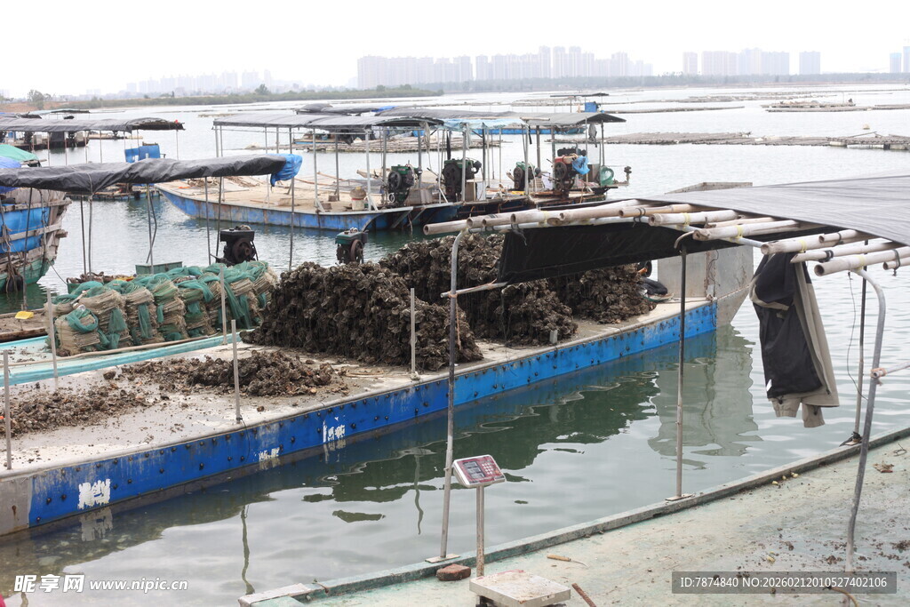 湛江水上渔村景象