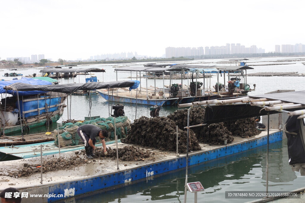 湛江港口停泊的多彩船只