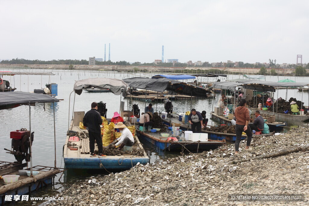 湛江河边停泊的船只与人群