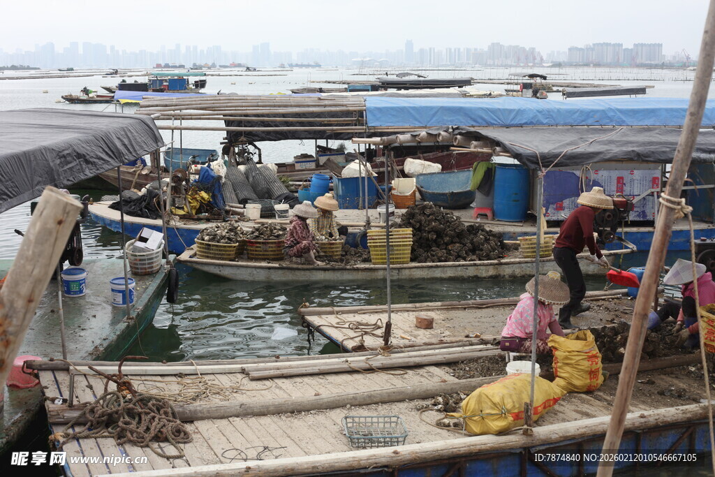 湛江热闹渔港的繁忙交易场景