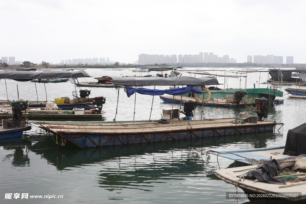 湛江宁静港湾中的停泊渔船