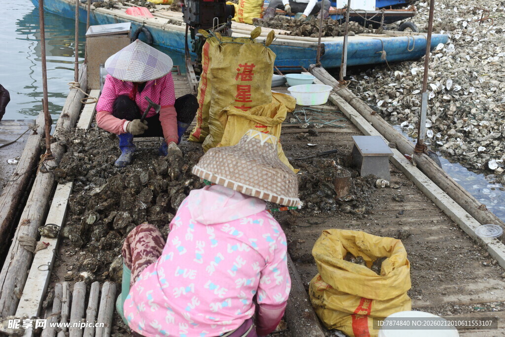 湛江渔民在滩涂忙碌劳作场景