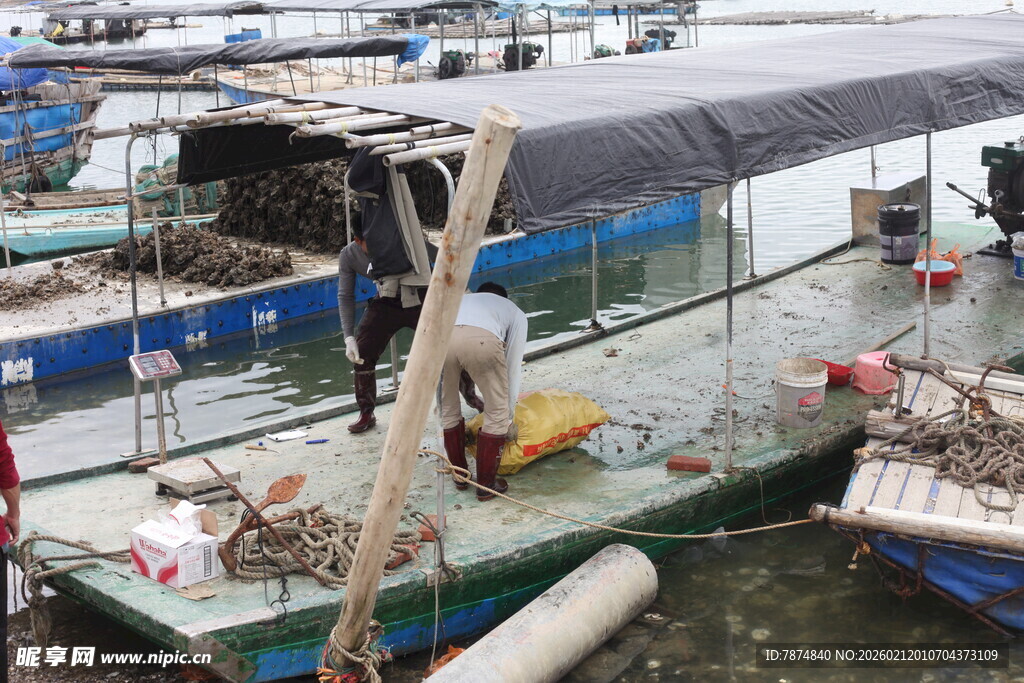 湛江水上停泊的多艘特色船只