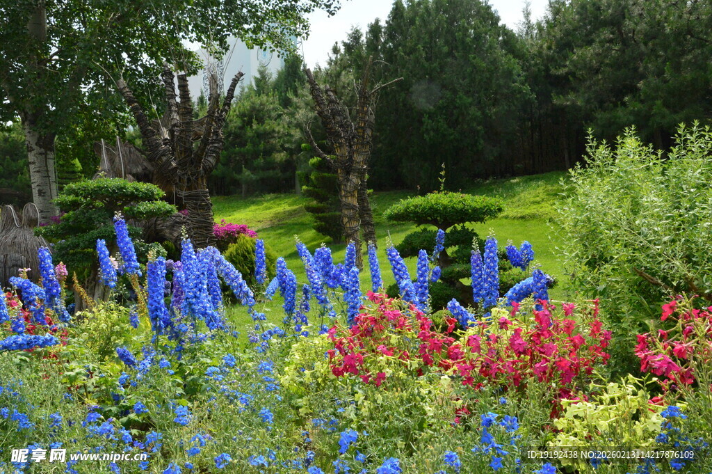 花境风景  
