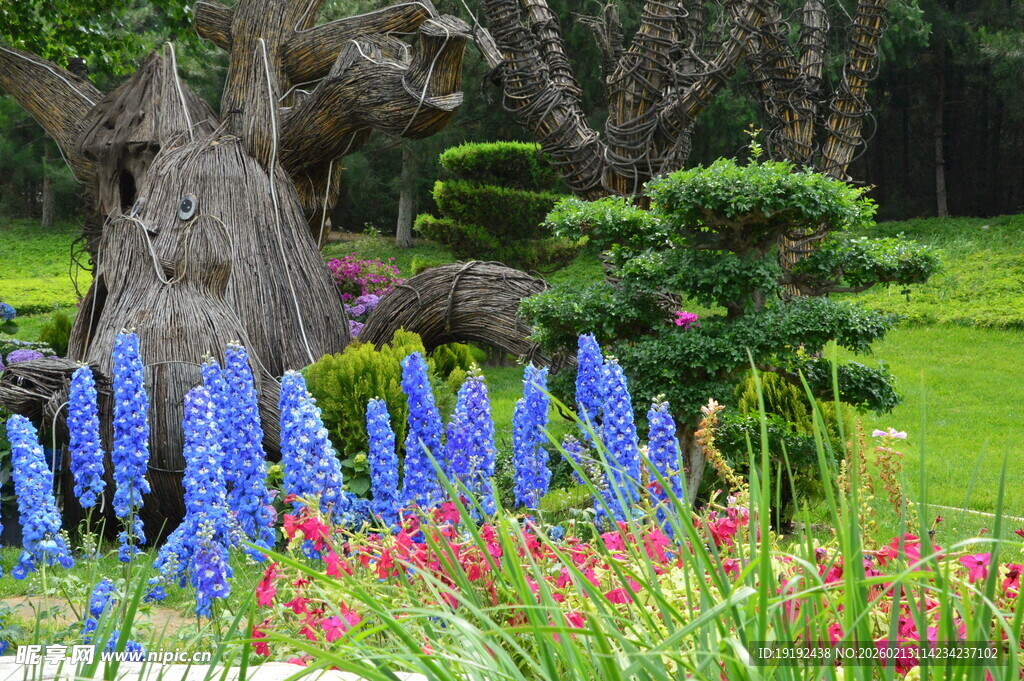 花境风景 