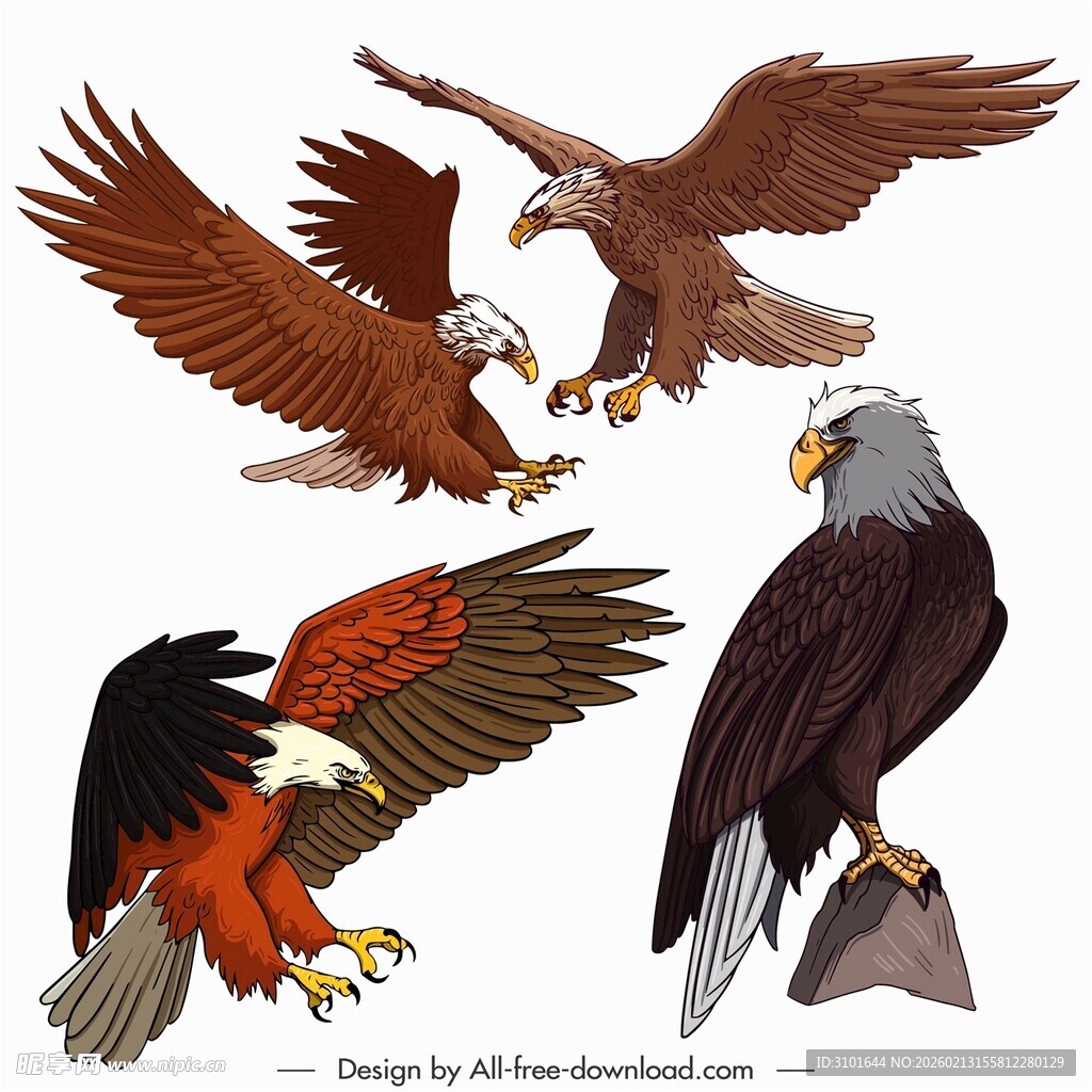 雄鹰图案