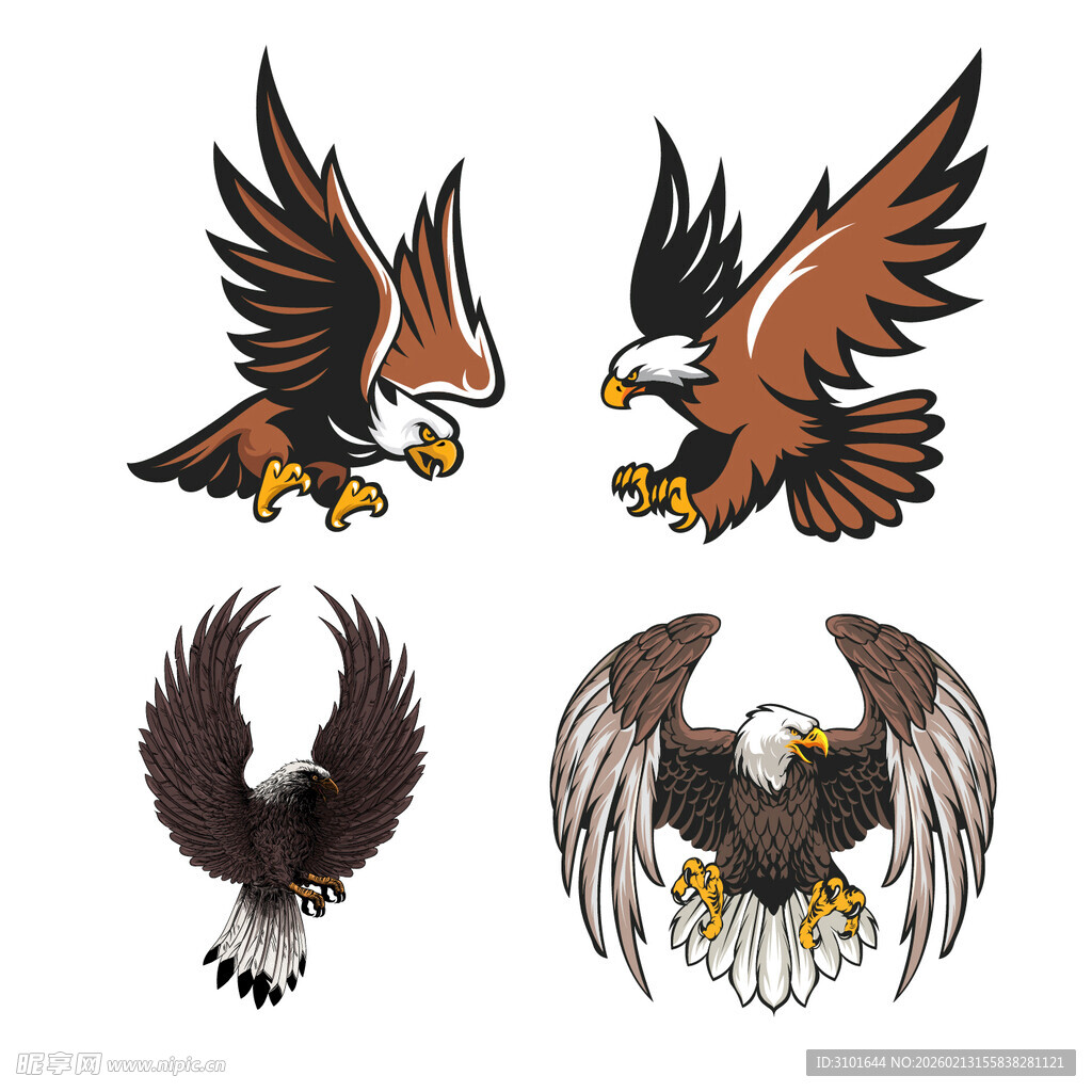 雄鹰图案