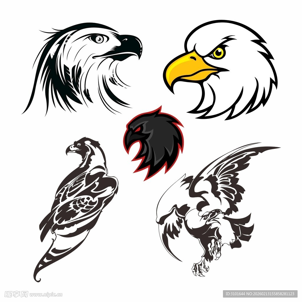 雄鹰图案