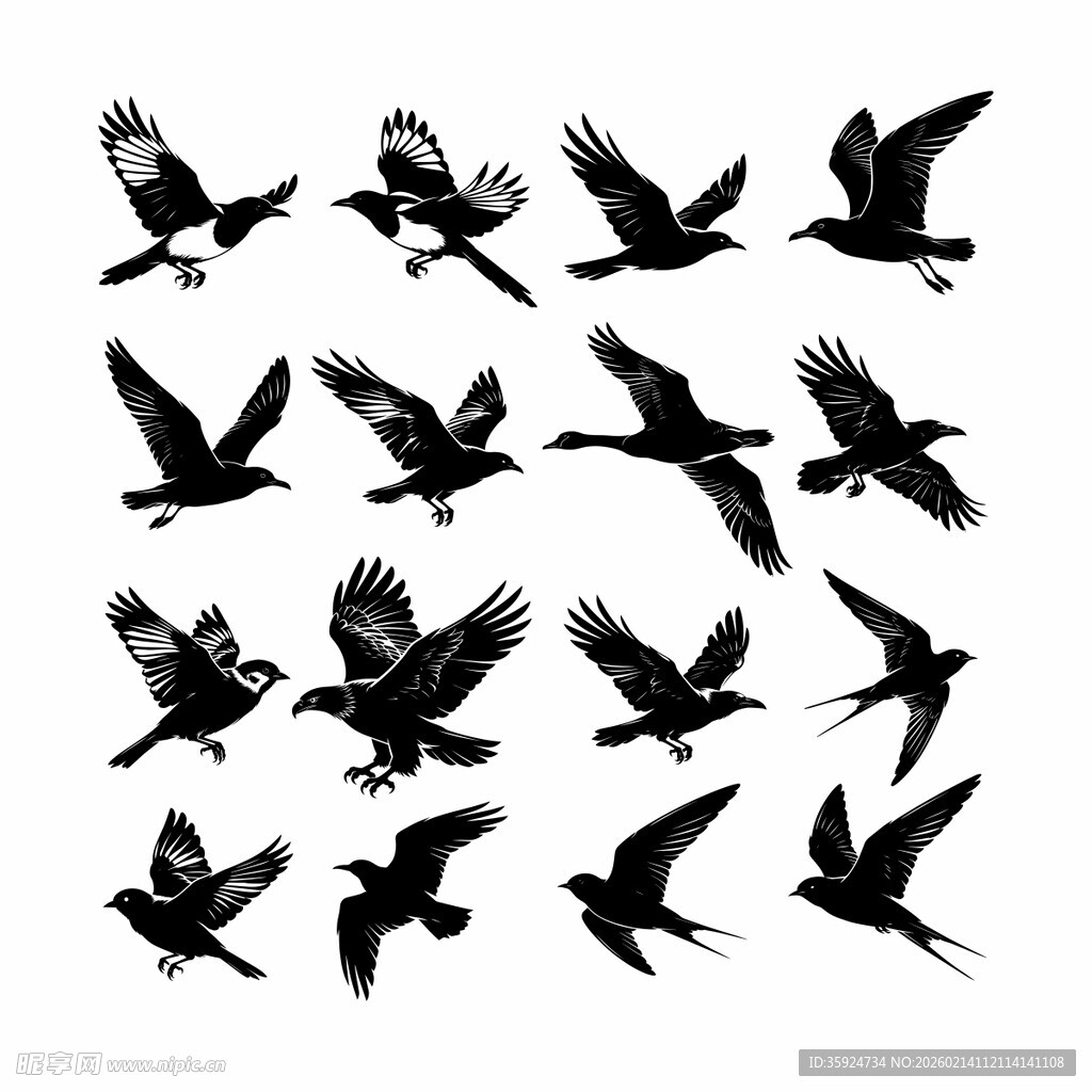 鸟类飞翔矢量剪影