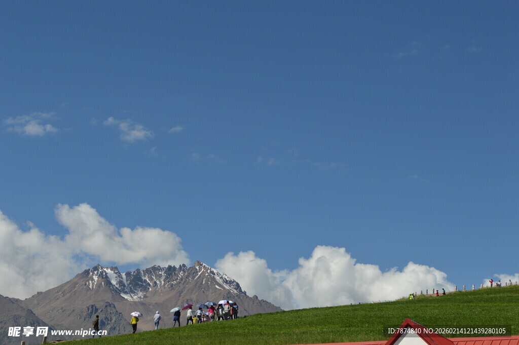 高山草甸风光