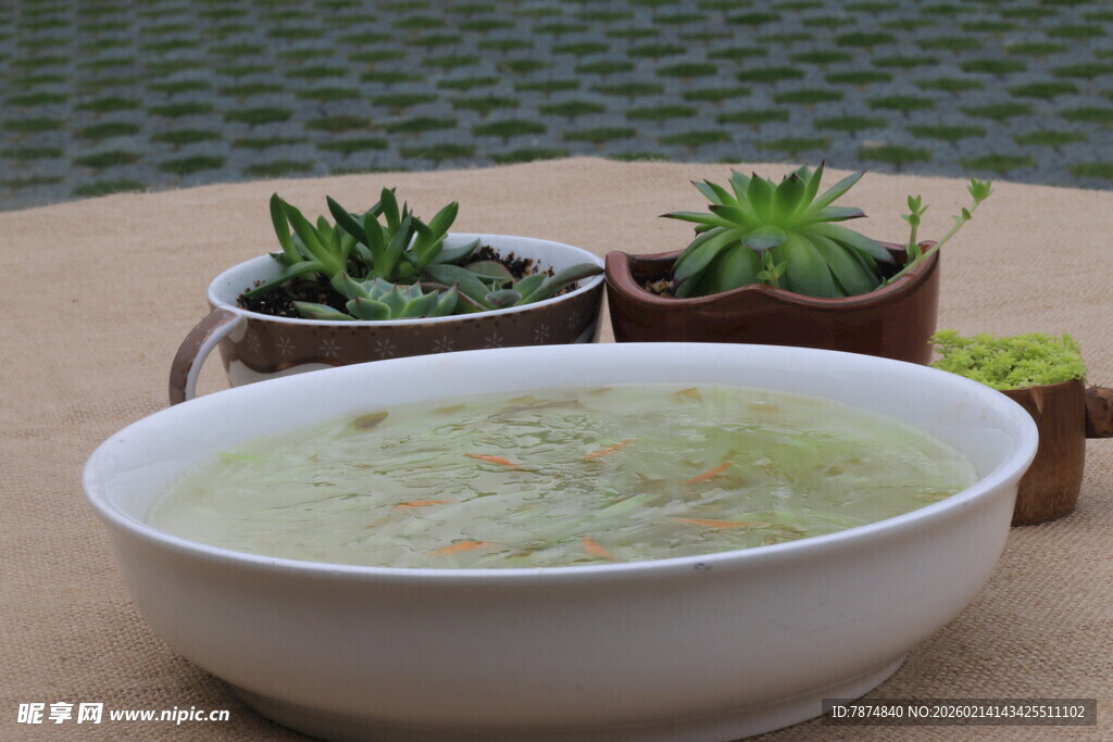 碗中汤品与多肉植物搭配