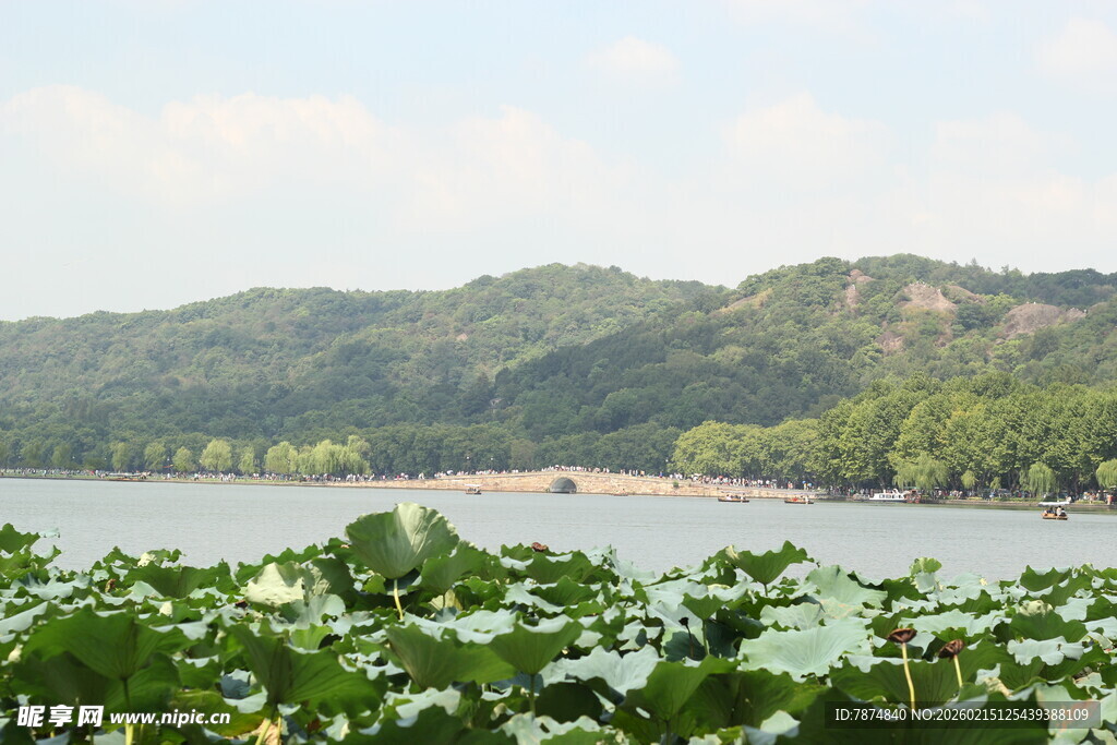 湖畔荷叶与远山美景